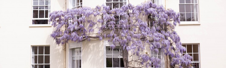 General English (4 weeks). Cheltenham, England 